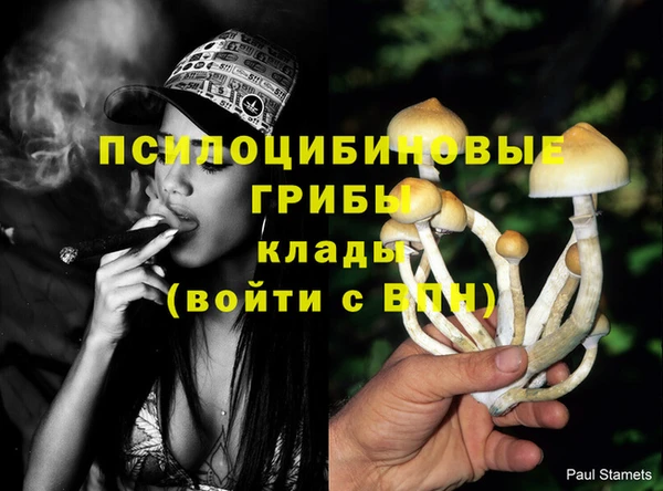 хмурый Сосновка