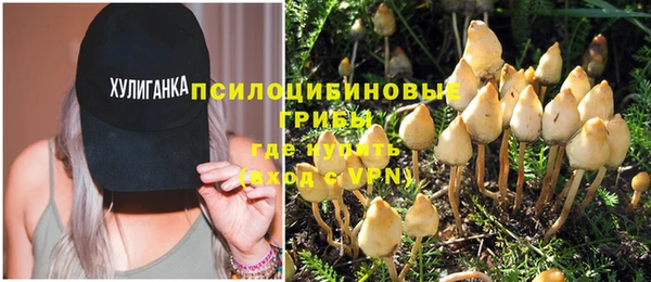 хмурый Сосновка