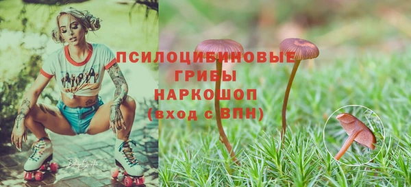 ГАЛЛЮЦИНОГЕННЫЕ ГРИБЫ Сосновоборск