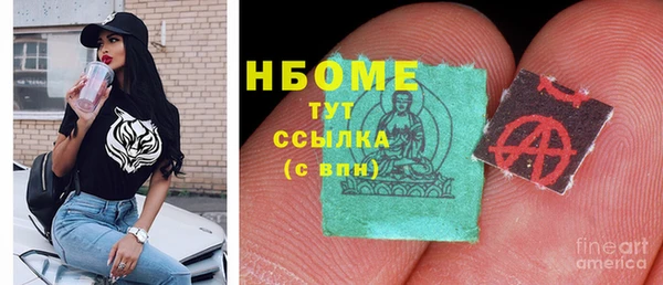 хмурый Сосновка