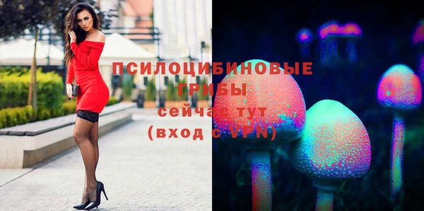 ГАЛЛЮЦИНОГЕННЫЕ ГРИБЫ Сосновоборск